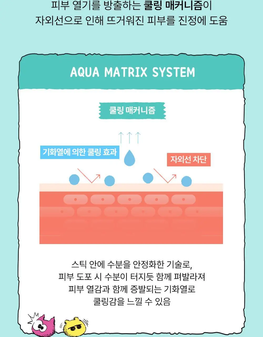 [산뜻보송/조앤프렌즈 콜라보] 셀퓨전씨 스틱 썬스크린 100 19g 1+1 기획 상세페이지 20